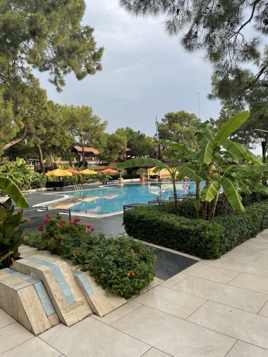 Pool ROBINSON ÇAMYUVA