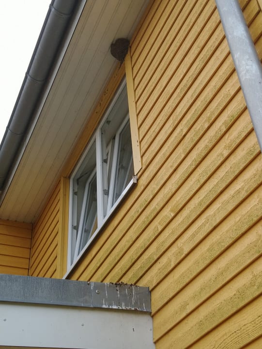 Sonstiges Ferienhauspark Asgard in Damp