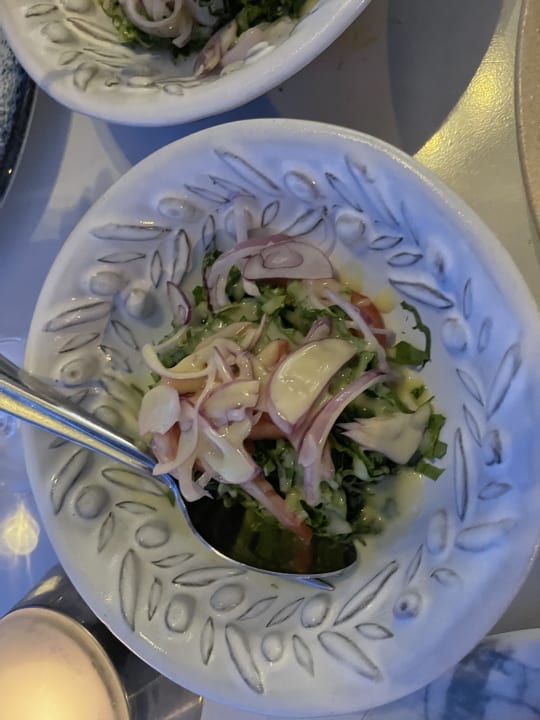 Gastro Acanthus Cennet Barut Collection