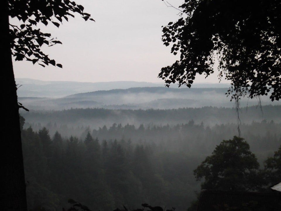 Blick an einem Augustmorgen von unserer Terrasse Ferienhäuser zur Schäferei