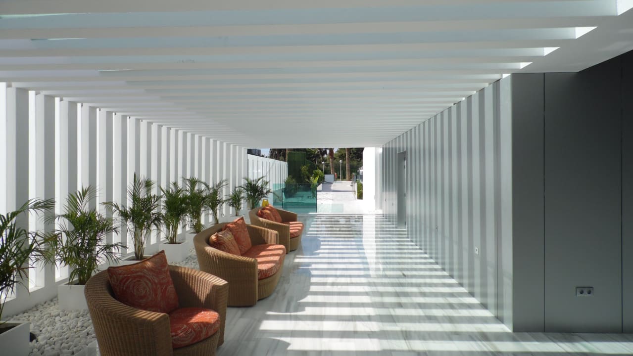 Lobby Canary Garden Club