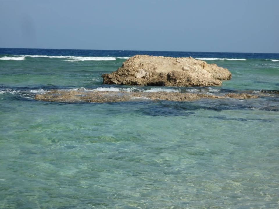 Am Hotel-Riff Malikia Resort Abu Dabbab