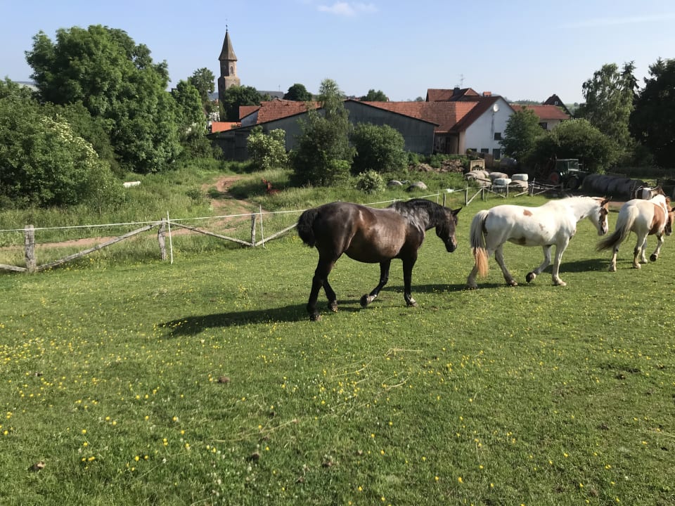 Außenansicht Reiterlandhof Kamm