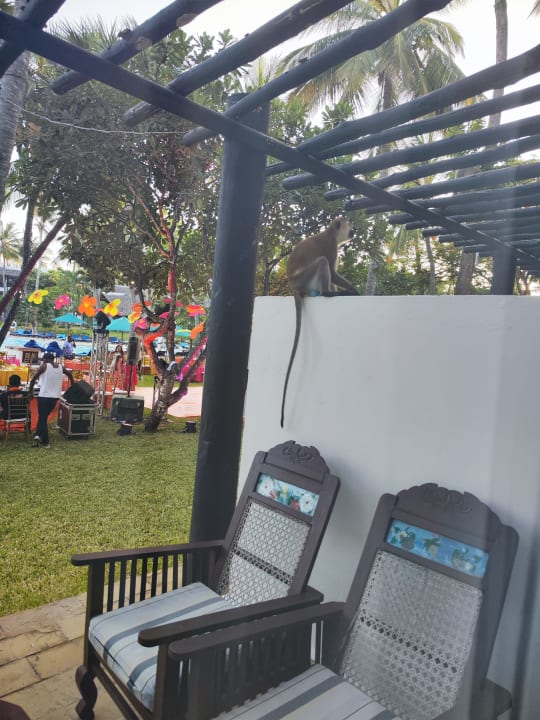 Zimmer Hotel Southern Palms Beach Resort