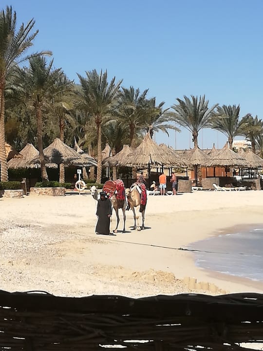 Strand Mövenpick Resort El Quseir