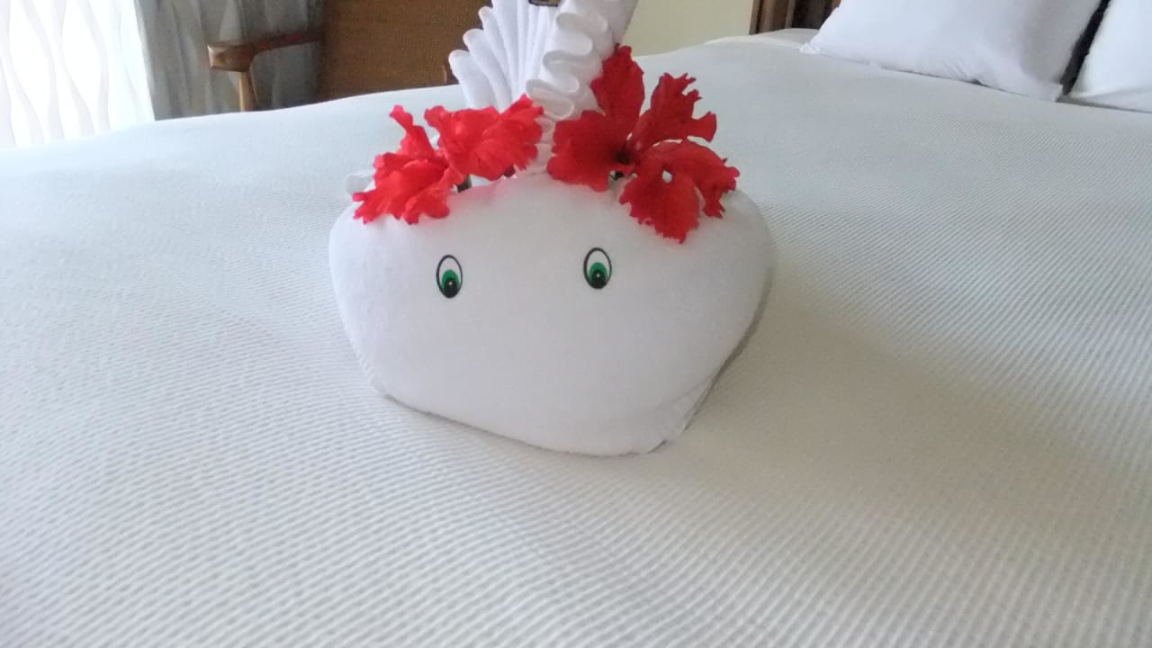 Handtuch-Motiv Catalonia Royal Tulum Beach & Spa Resort - Adults only