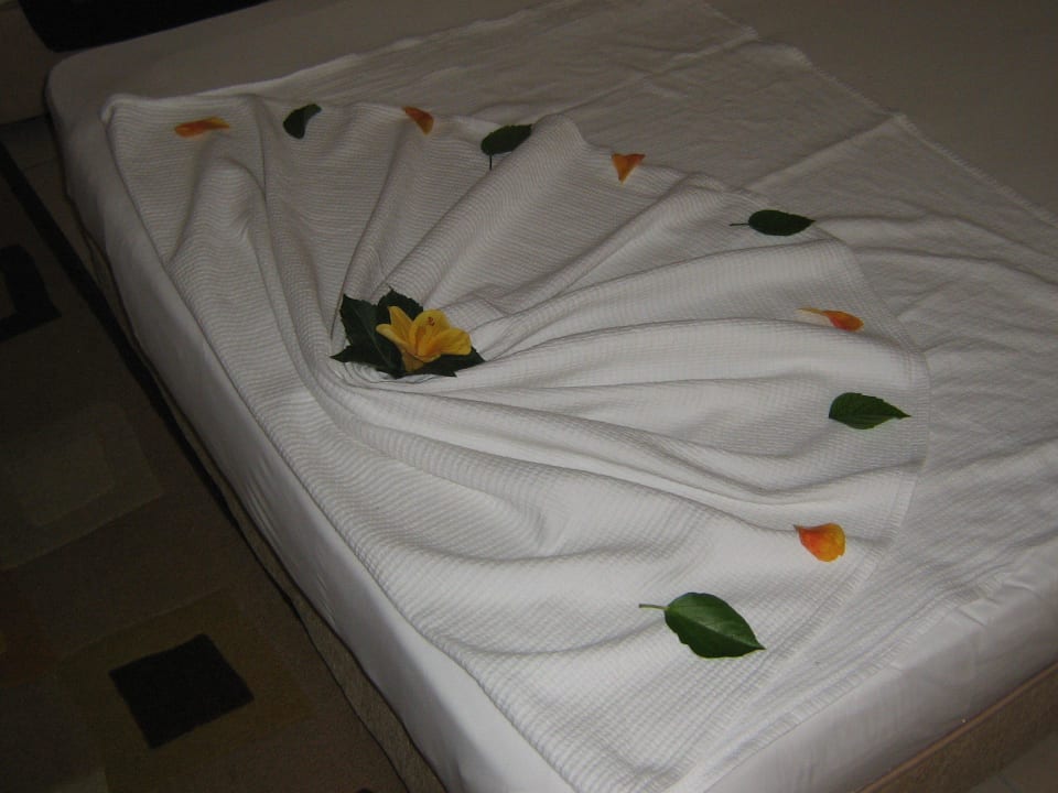 Bettdeko mit Ameisen Oz Hotels Incekum Beach