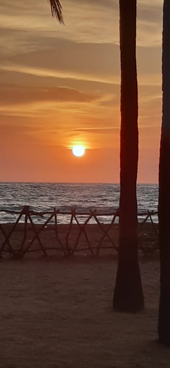 Ausblick Club Hotel Dolphin