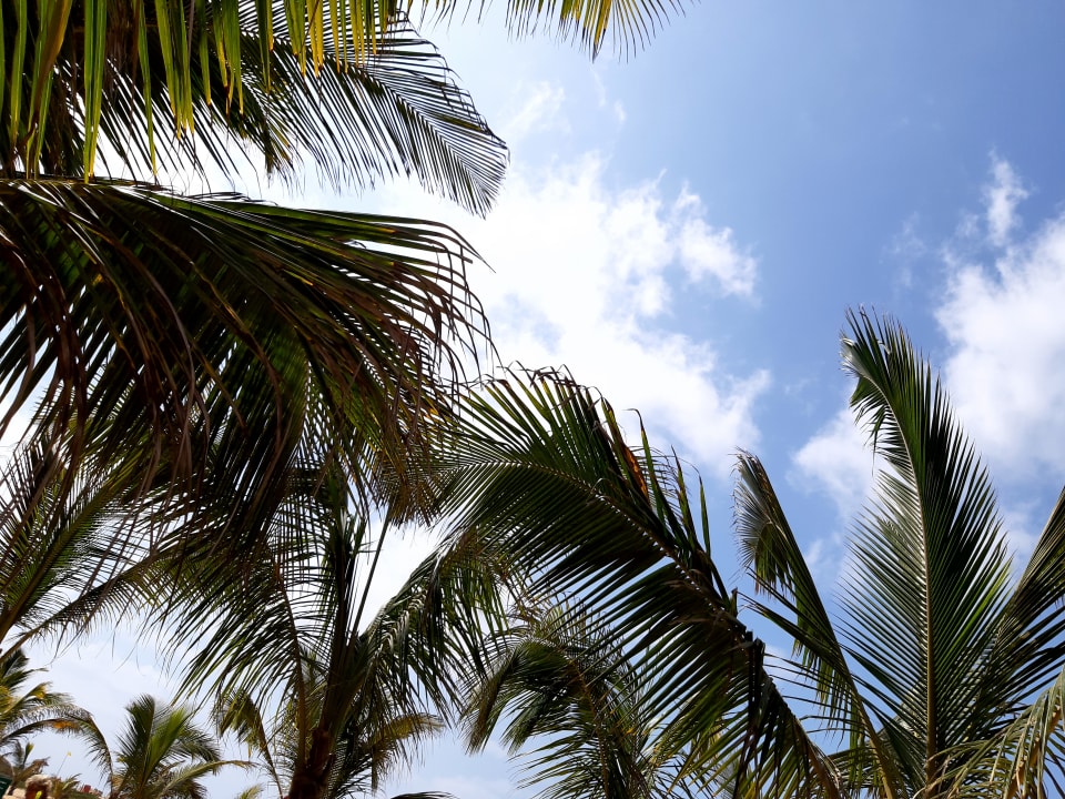 Ausblick Hotel Riu Funana