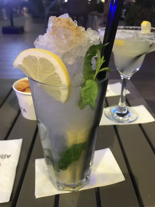 Gastro Adalya Elite Lara