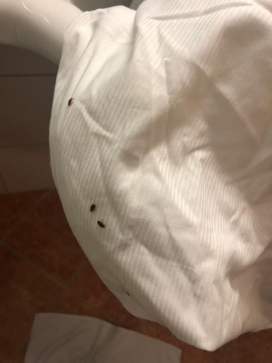 Zimmer Hotel Itzlinger Hof