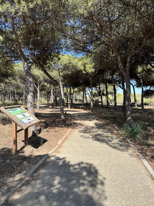 Gartenanlage Estival Isla Cristina