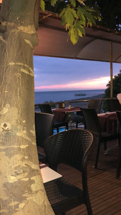 Gastro Adora Calma Beach Hotel