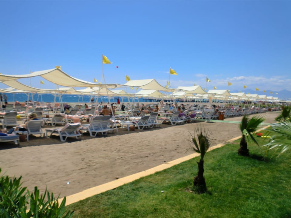Blick auf den Strand Hotel Delphin Imperial