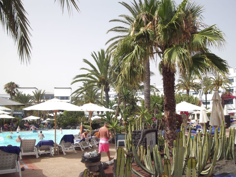 Palmen und Pools Seaside Hotel Los Jameos
