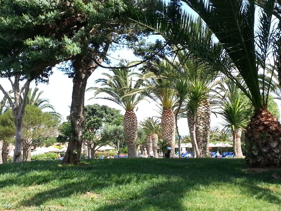 Hotelanlage Anissa Beach & Village