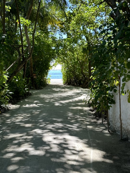 Ausblick Gili Lankanfushi Resort