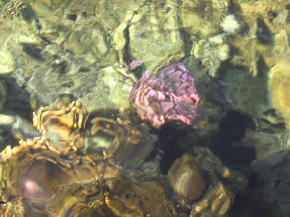 Rafa koralowa widok z góry Mirage Bay Resort & Aqua Park