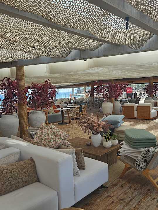 Sonstiges Desert Rose