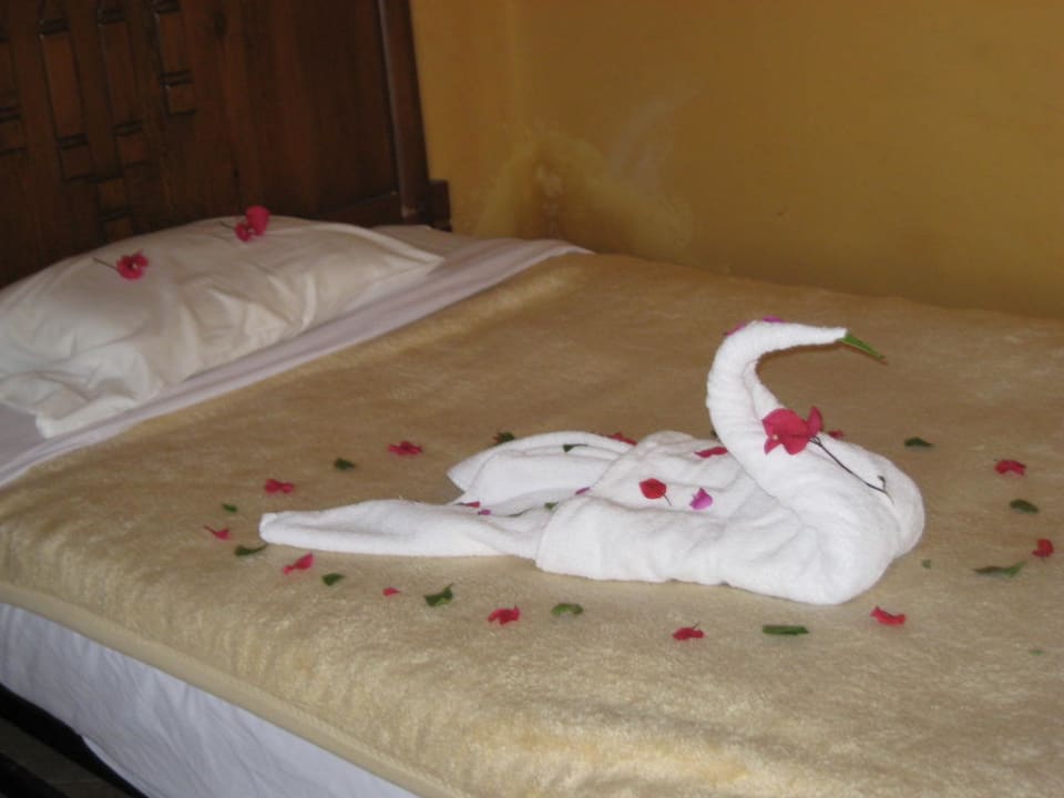Vielen Dank Charmillion Sea Life Resort