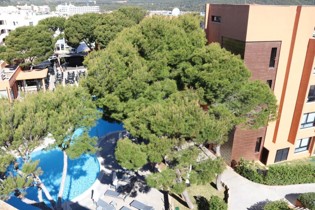 Ausblick Protur Turo Pins Hotel