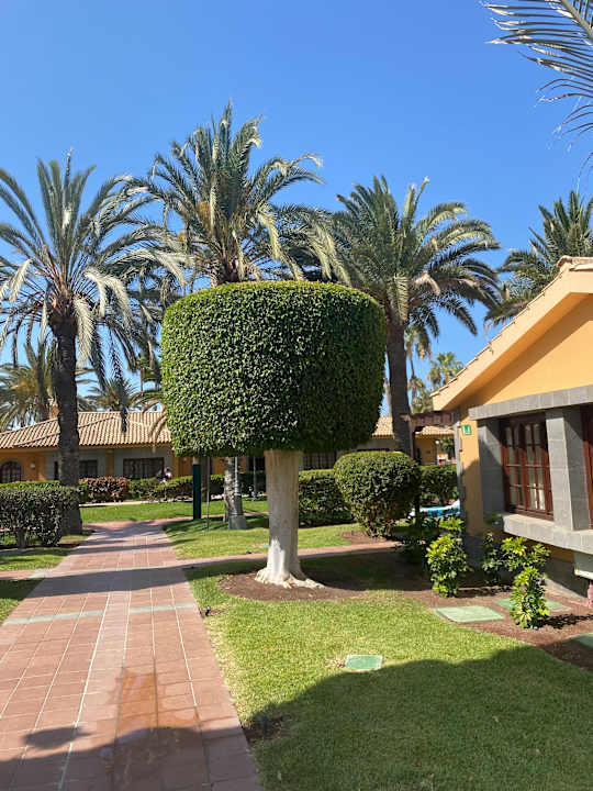 Zimmer Suites & Villas by Dunas