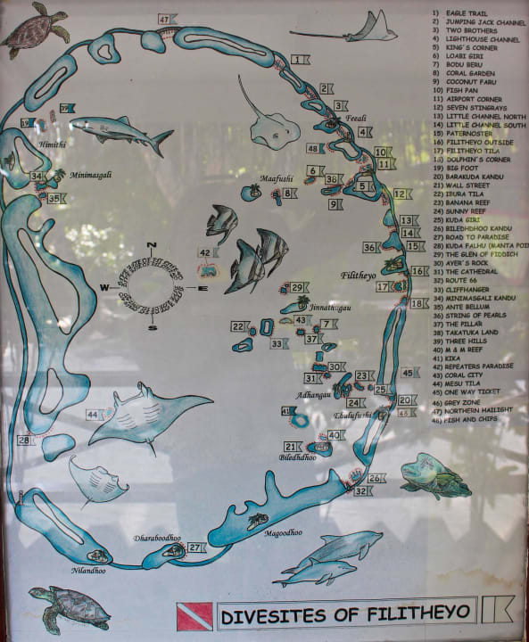 Tauchplätze Filitheyo Island Resort