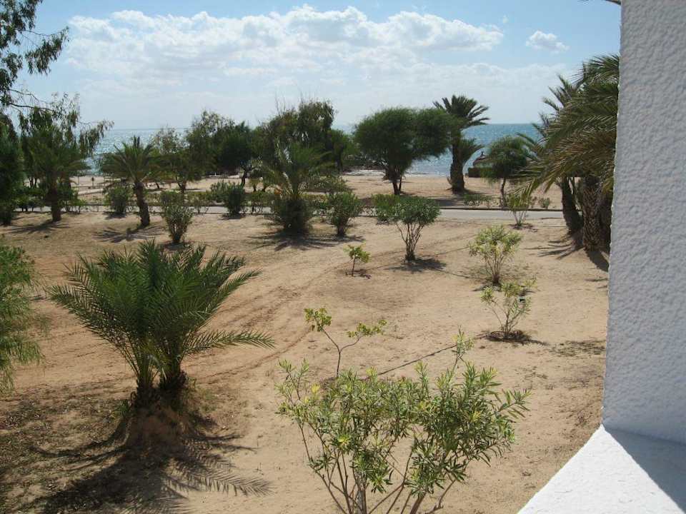 Blick von der Dachterrasse unseres Bungalows Hotel El Mouradi Djerba Menzel