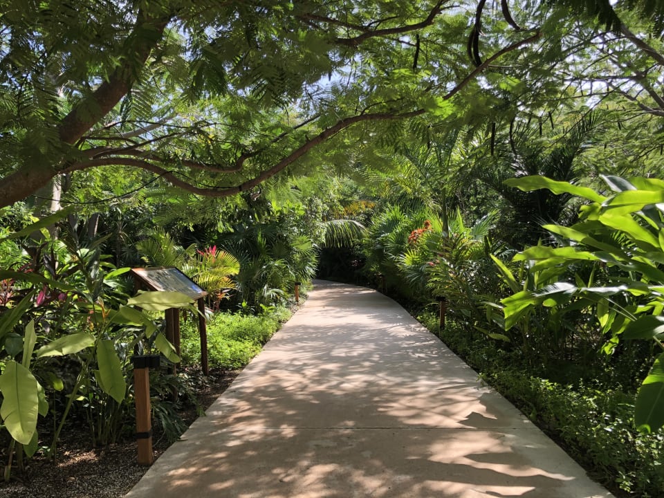 Gartenanlage Secrets Akumal Riviera Maya - Adults only