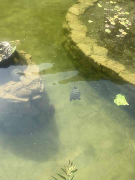 Gartenanlage Paloma Pasha