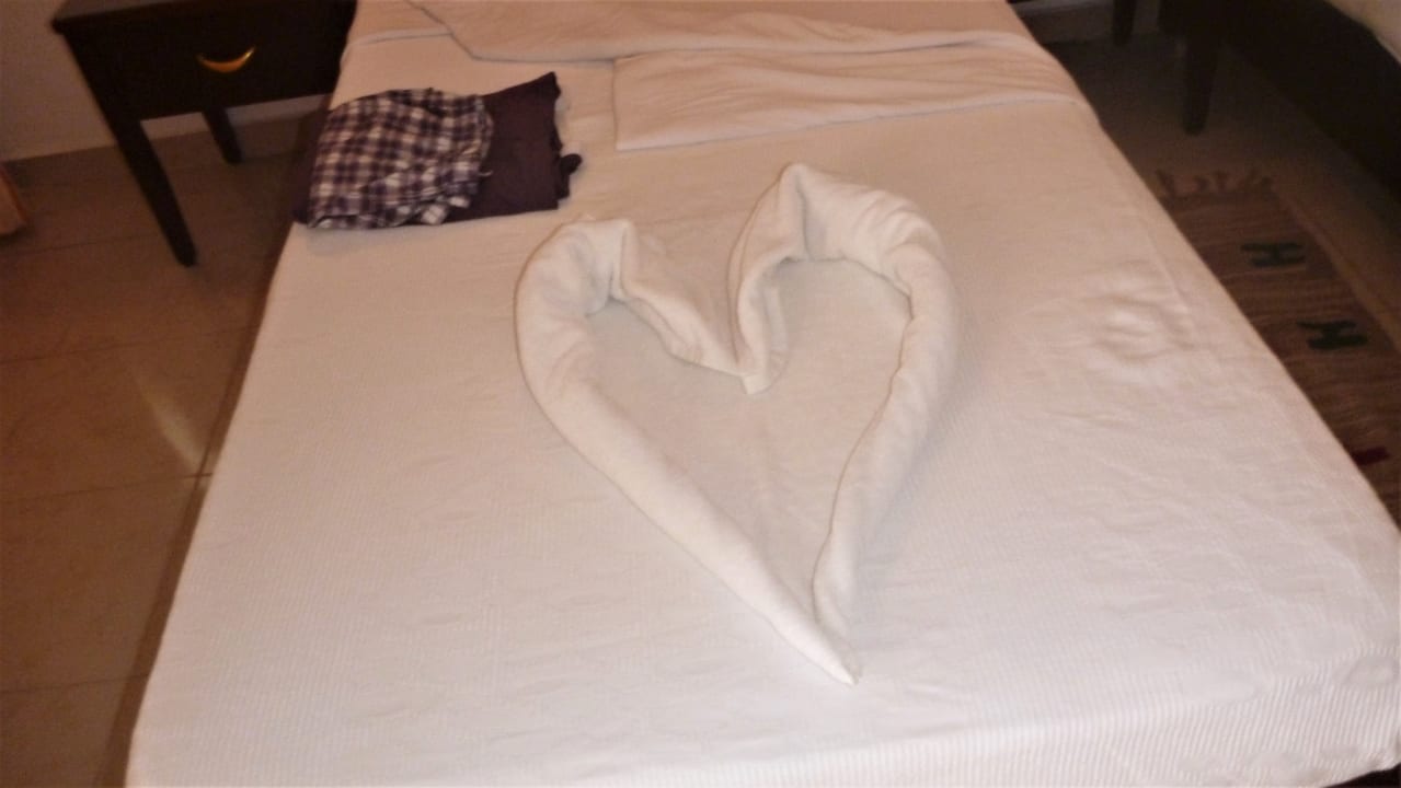 Zimmer Menaville Safaga