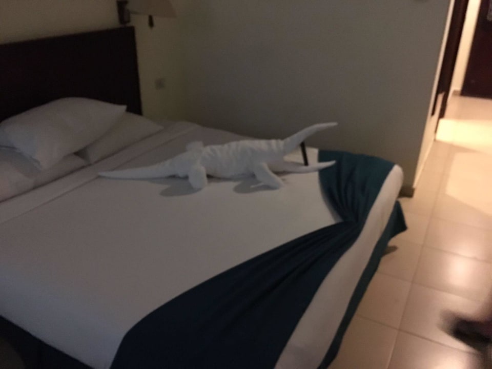 Krokodil mal was ganz anderes Serenity Alpha Beach