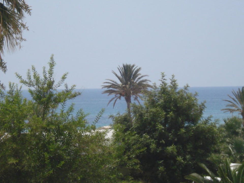 Blick von der Terrasse in Richtung Strand Dar Khayam