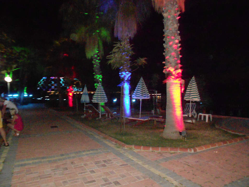 Ogród Lonicera Resort & Spa Hotel