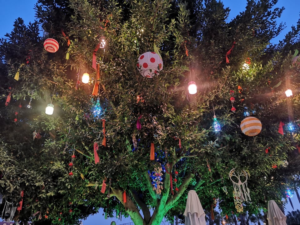 Gartenanlage Hane Family Resort