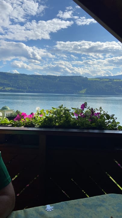 Ausblick Ferienwohnungen Fischerhaus direkt am See