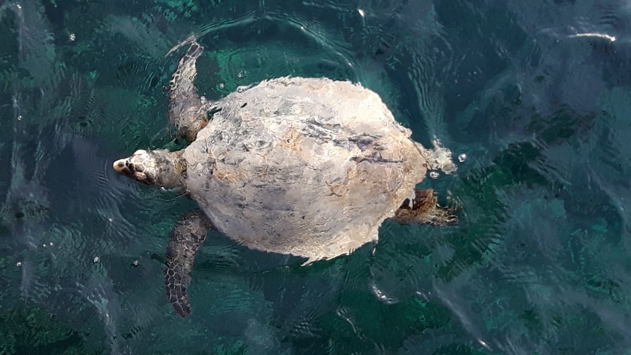 Strand Casa Mare Resort