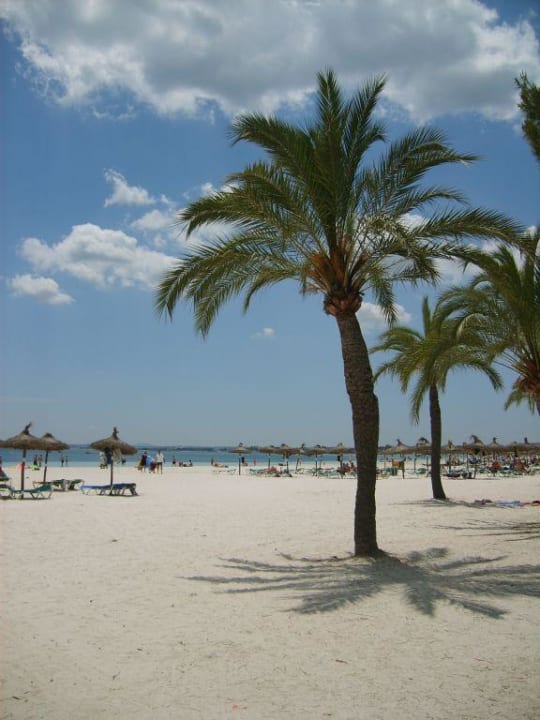 Strand Puerto de Alcudia Alcudia Garden Aparthotel