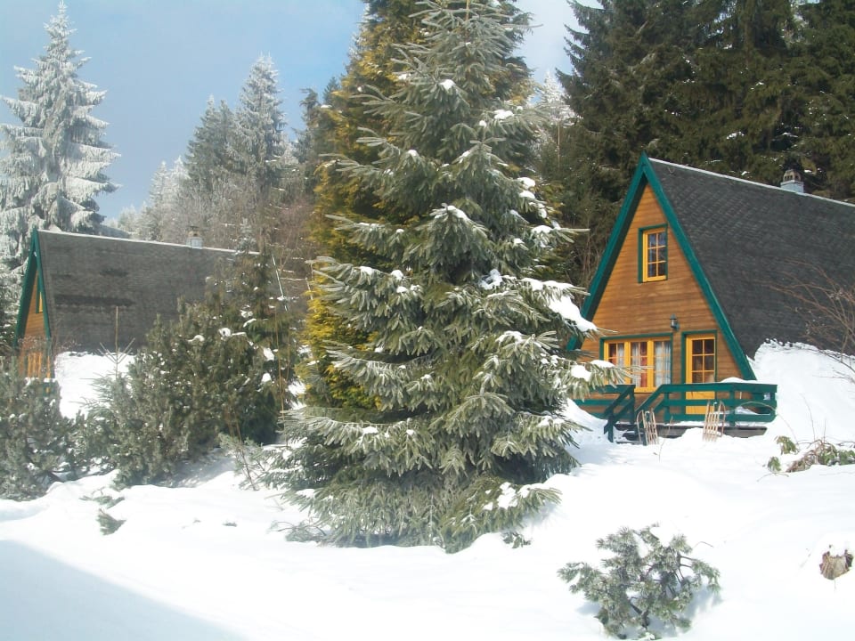 Finnhütten Berggasthof Brand - Finnhütten & Ferienhäuser am Rennsteig