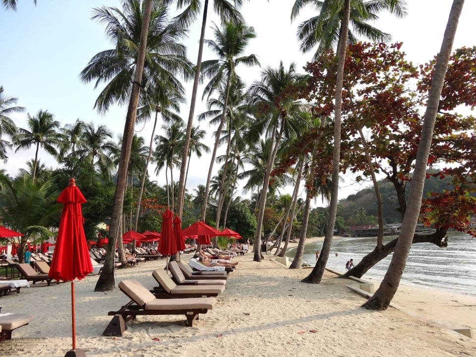 Große Liegewiese am eher kleinen Strandabschnitt Dinso Resort & Villas Ko Chang, Vignette Collection by IHG