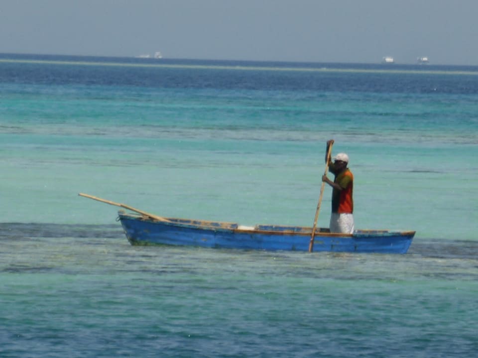 Strand Sea Star Beau Rivage