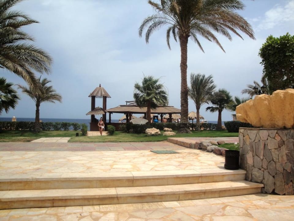 Jeden z barow Safir Sharm Waterfalls Resort