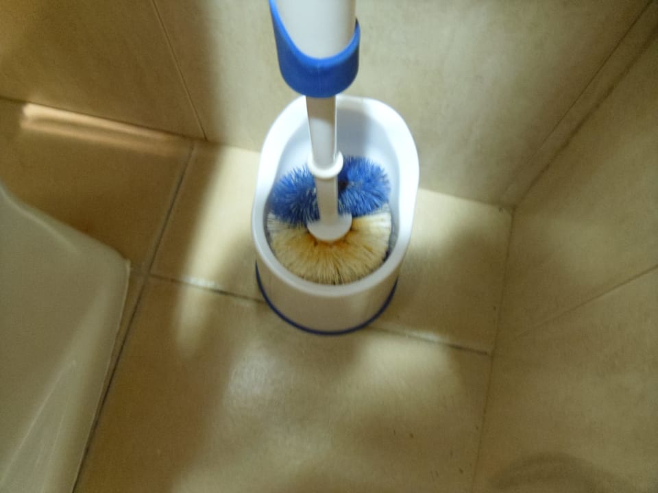 Die Bürste ... Atlantic Garden Beach Mate