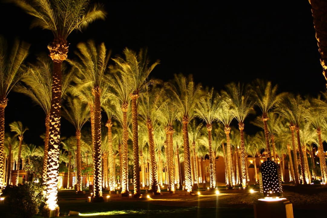 Hotelgarten bei Nacht Makadi Palace