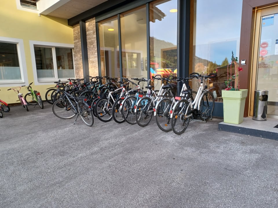 Sonstiges Hotel Wolkensteinbär