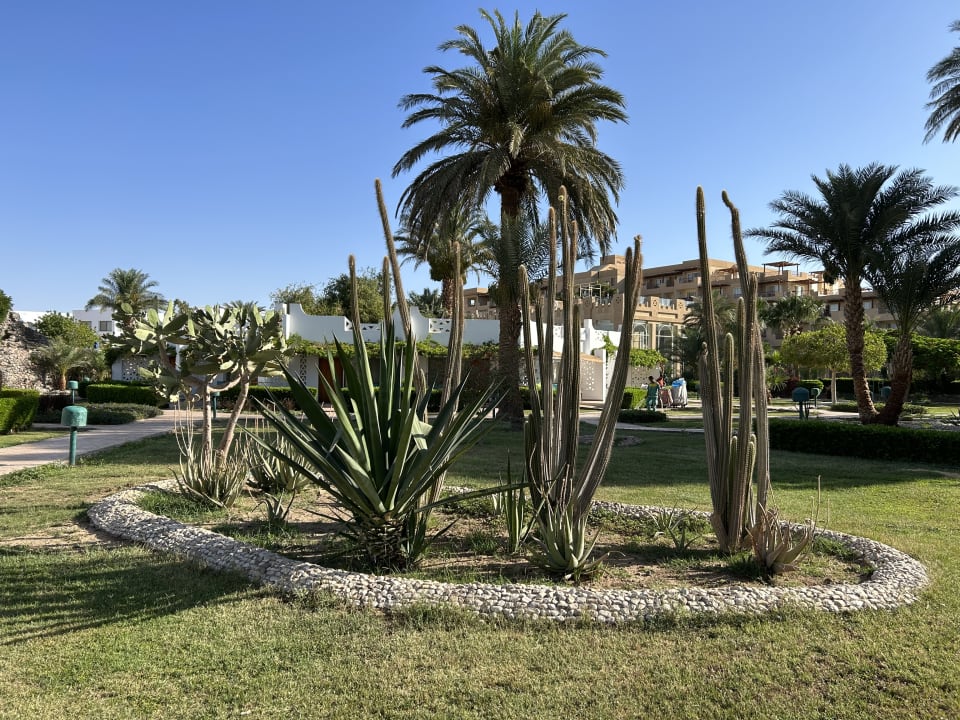 Gartenanlage Shams Safaga Resort