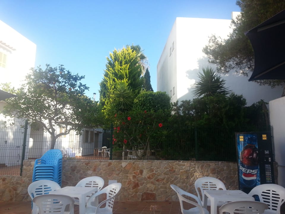 Poolausblick Hotel Ses Puntetes