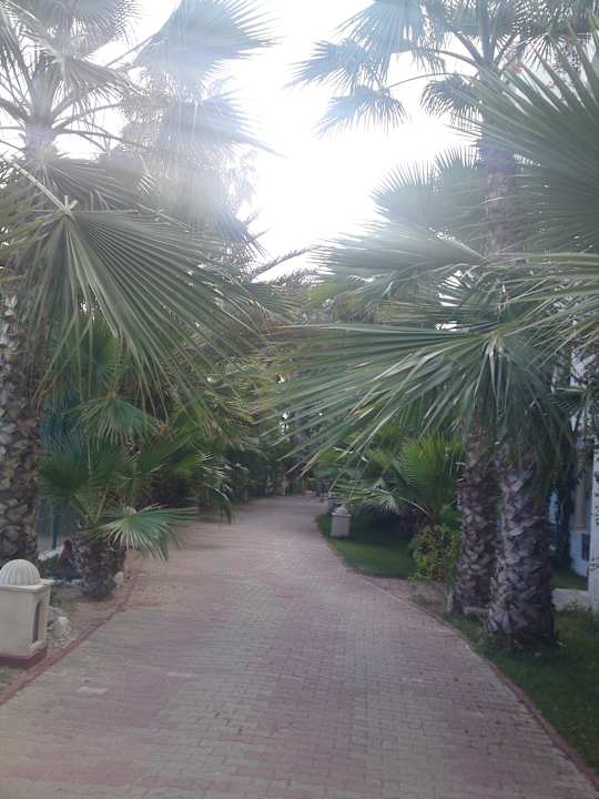Richtung Strand Hotel Nesrine