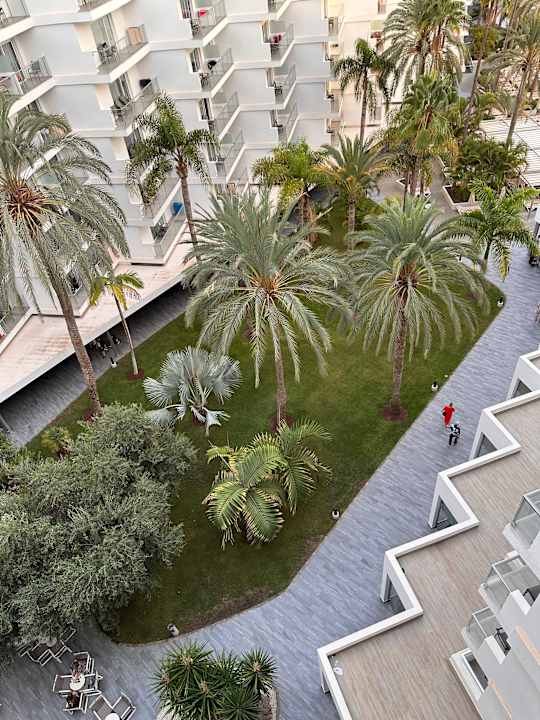 Gartenanlage Hotel Riu Papayas