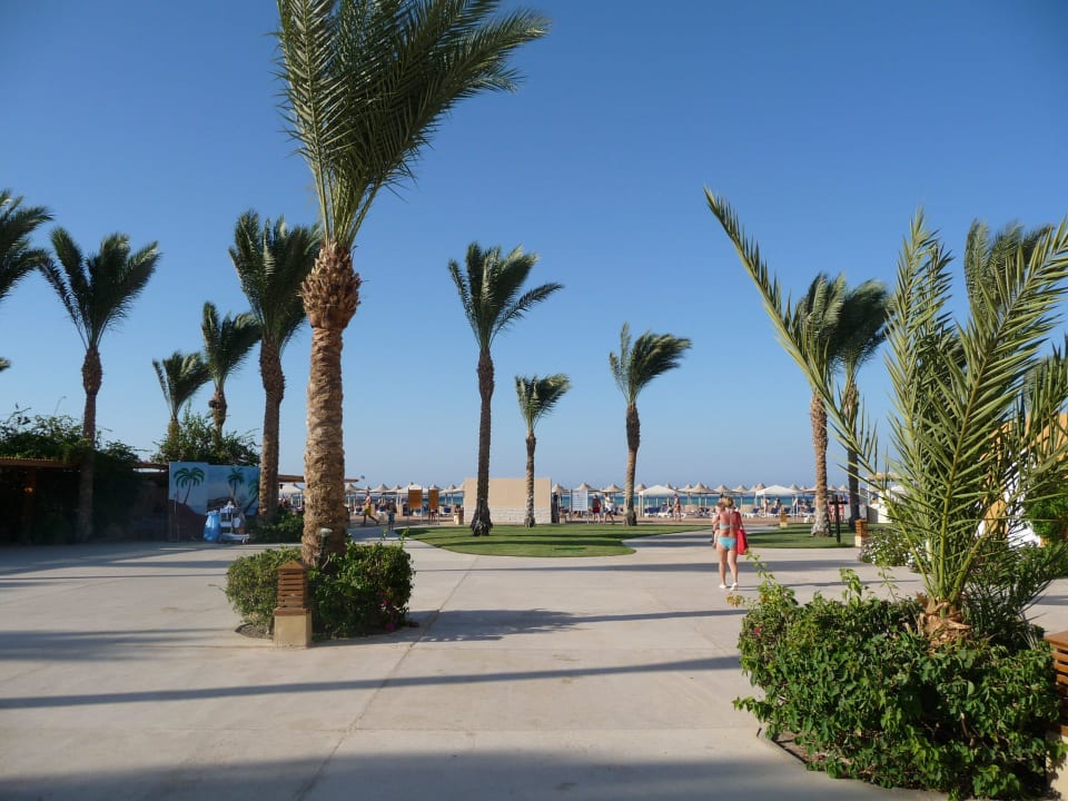 Blick zum Strand Stella Beach Resort & Spa Makadi Bay